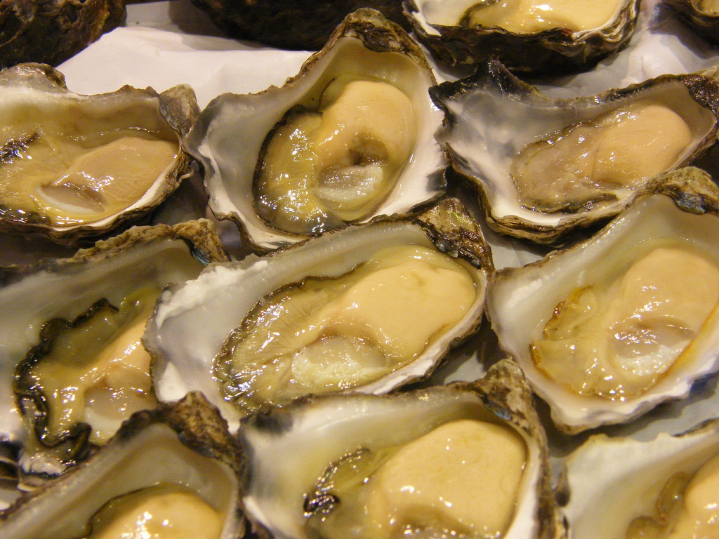 sydneyrockoysters • Blue Harvest
