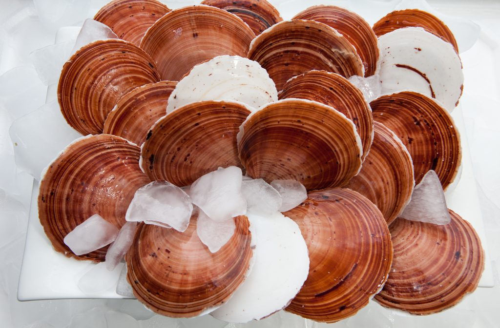 Supply Update What's Frozen? • Blue Harvest